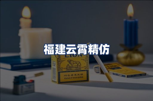 福建云霄精仿